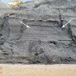 Figure 2 Falls from beneath a thin limestone bed in the lower cliff of the Black Ven Marl Formation.