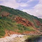 The Oddicombe Breccia Formation, rich in Devonian limestone cobbles, is seen dipping northwards at Petit Tor Downs, St. Marychurch, Torquay.