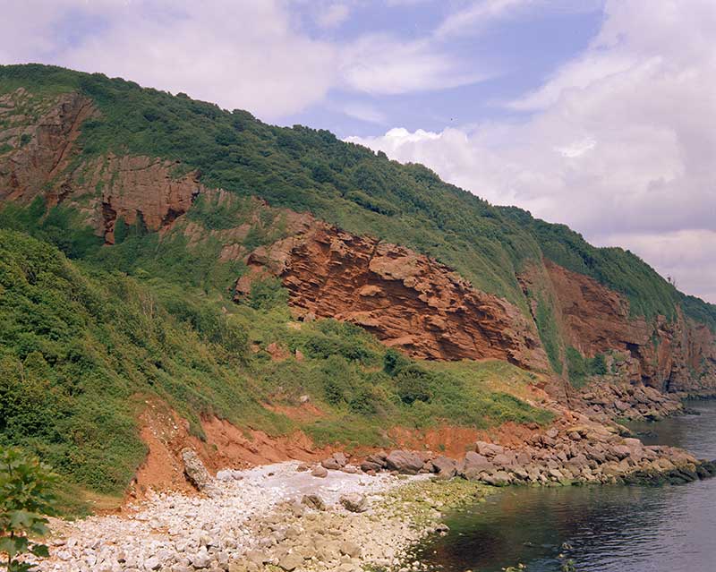 The Oddicombe Breccia Formation, rich in Devonian limestone cobbles, is seen dipping northwards at Petit Tor Downs, St. Marychurch, Torquay.