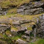 Teme Headwater, showing biological weathering.