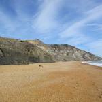 Coastal section Whale Chine to Blackgang, Isle of Wight.