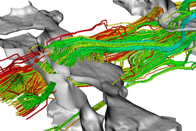 groundwater flowpaths