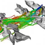 groundwater flowpaths