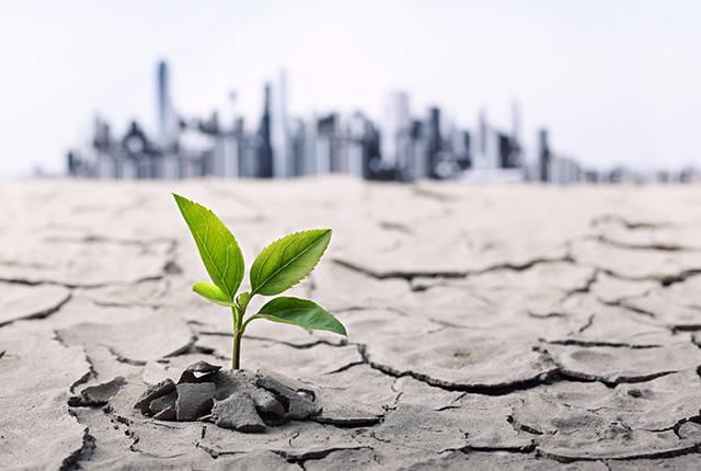 Little plant in dried cracked mud against a background of city skyline. Photo credit amphotora.