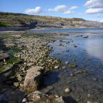 Jurassic coast limestone pavement and mudstone cliffs between Lyme Regis and Charmouth, Dorset.