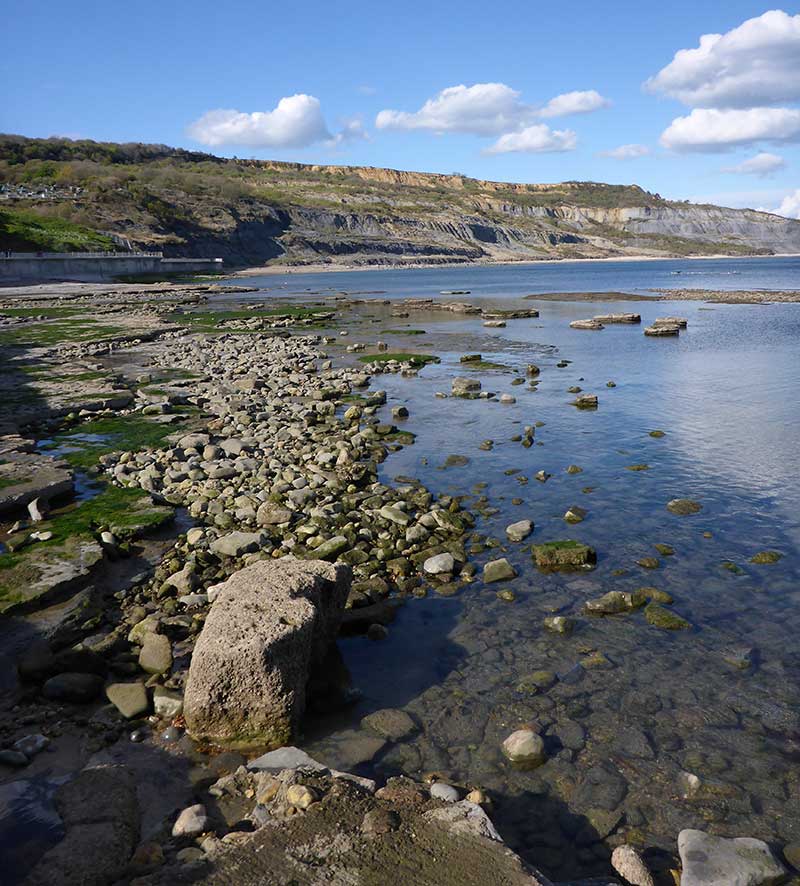 Jurassic coast limestone pavement and mudstone cliffs between Lyme Regis and Charmouth, Dorset.