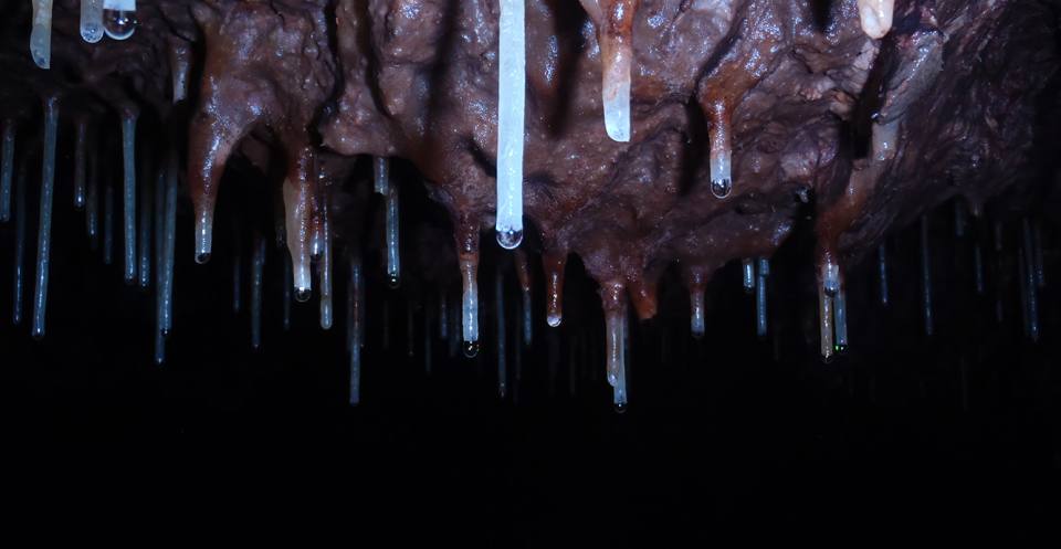 A soda straw forms when water leaches slowly through rocks and a succession of droplets slowly deposit minerals as a hollow tube.