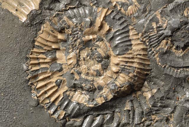 Rocks and minerals - British Geological Survey