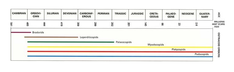 The survival and extinction of ostracod orders through the major divisions of geological time. The ostracods are colours according to their time bar.