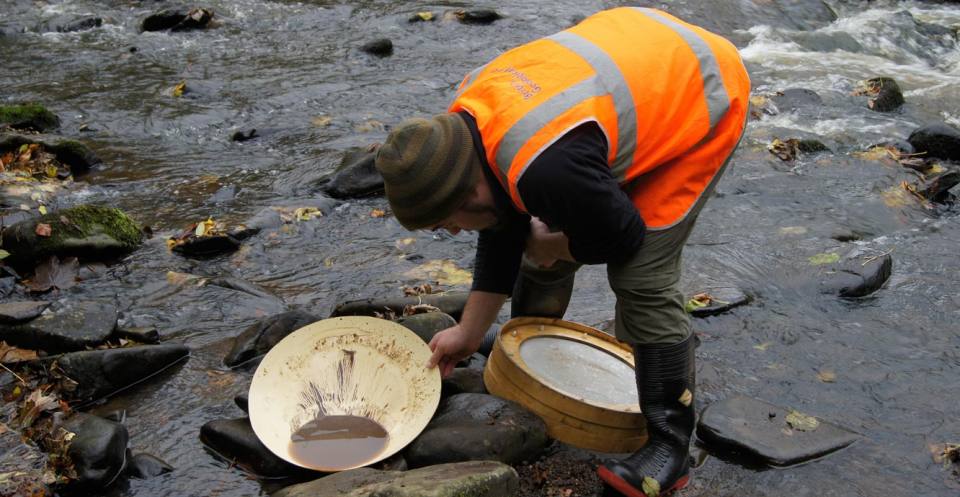 Sediment sample