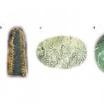 a) The stipes of Orthograptuswere fused ‘back-to-back’ (i.e. scandent). b) Some later types of diplograptids became partly ‘unzipped’, like the Y-shaped Dicranograptus (the biserial part is 5mm long). c) Spirograptus turriculatuswas coiled or spring-like d) Rastriteshad a curved stipe with long thecae up to 3mm long