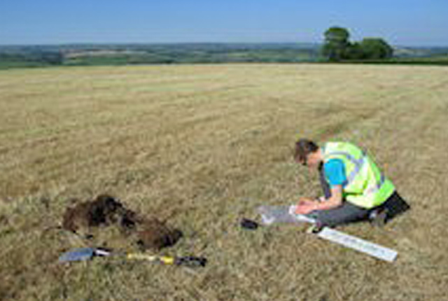 GEMAS_soil_sample-feature
