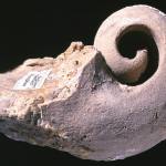 This image is a mould of an ancient snail or slug called Bellerophon, a gastropod. Fossils can form when mould of the interior of the shell is made by water-borne minerals percolating through it, but later the shell material dissolves away.