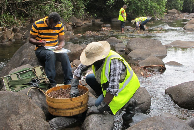 Streamsedsierraleone2_feature