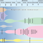 The evolution of the main groups of fish through geological time. The names of those fish illustrated or mentioned in the text are in italics to show their relative age.