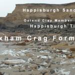 The geology of the cliffs at Happisburgh.
