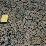 Mud cracks in Lambeth Group