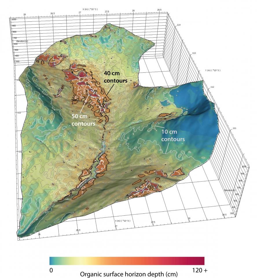 An organic soil depth map