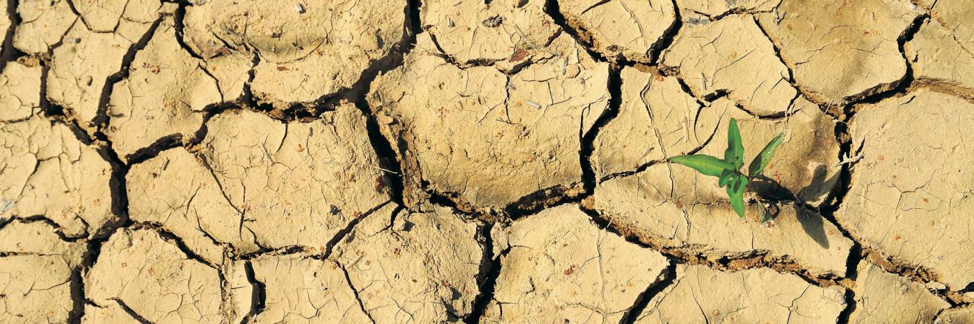 Environmental change