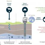 Drinking water supplies have the potential to become contaminated by various sources of waste, including enteric (gut) pathogens from human and animal faeces. TLF testing can be used as an initial screening tool to inform and complement further water quality investigations.