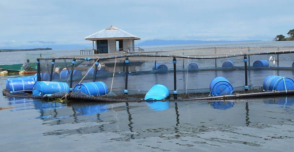 Aquaculture cage