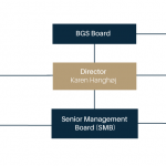 BGS organogram summary