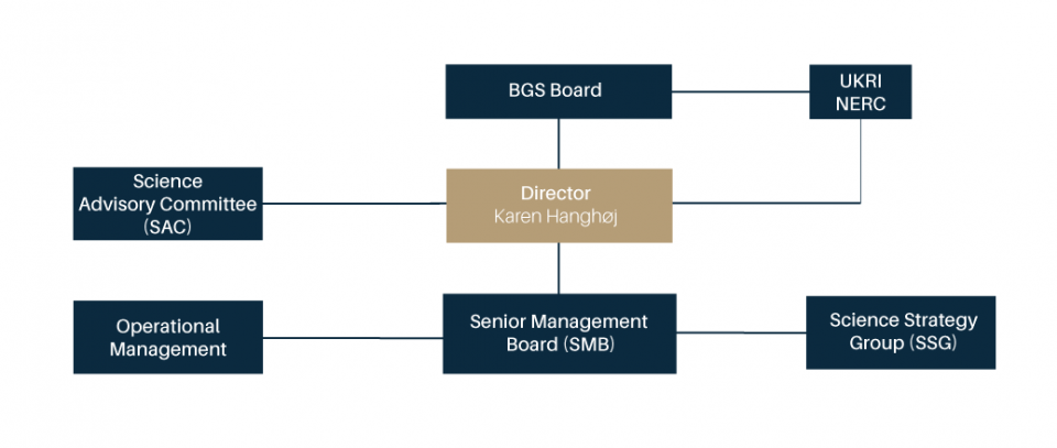 BGS organogram summary