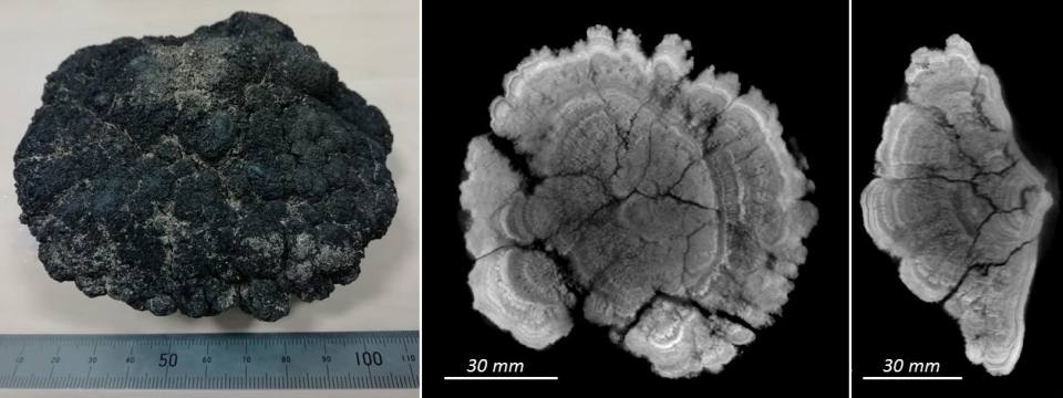 3D CT scan of a ferromanganese nodule