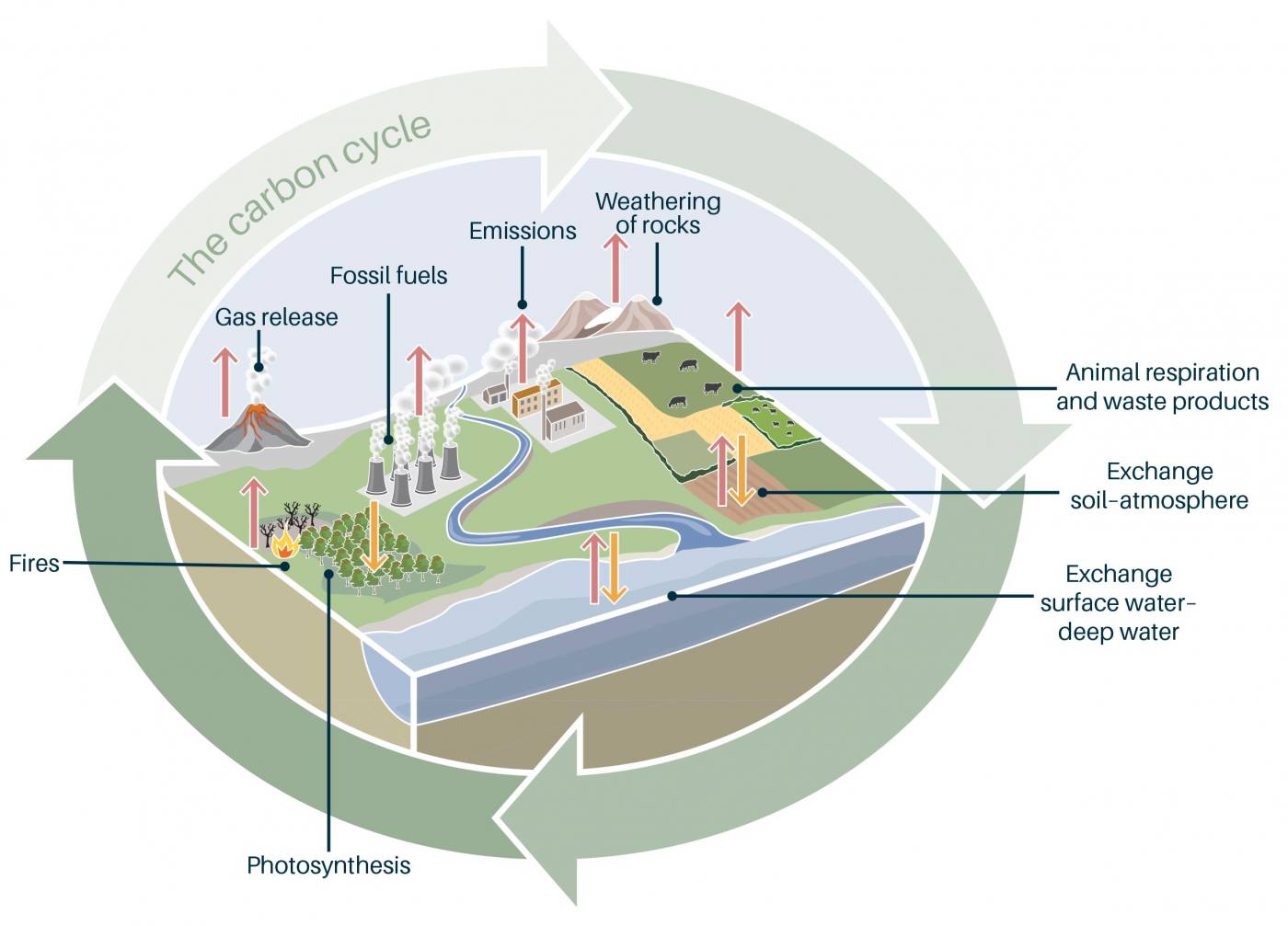 chemical weathering carbon dioxide diagram