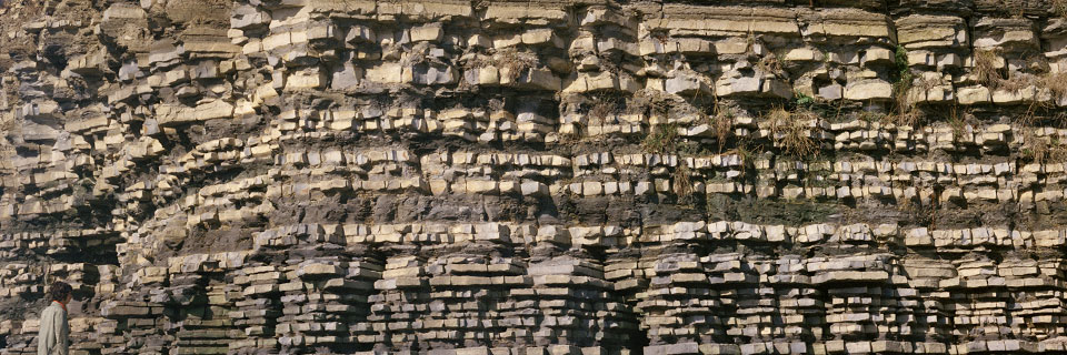 Fossils-and-geological-time-Banner- P007714