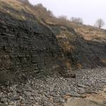 Blue Lias formation and overlying Charmouth mudstone formation, Lyme Regis and Charmouth, Dorset.