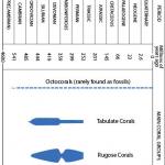 The distribution of corals through time.