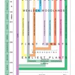 The evolution of the main members of the Plant Kingdom through geological periods and time (left) and its relationship with the Algae. The four evolutionary scenes shown overleaf are indicated.