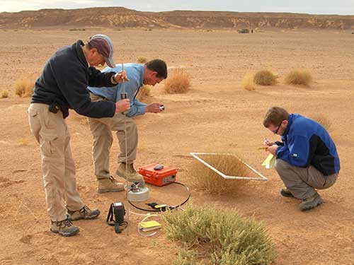 measurement of of soil gas, flux and botanical observations 