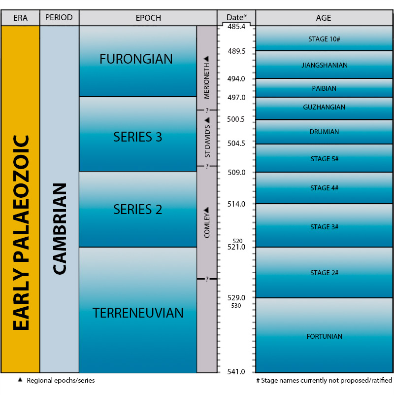 Time scale geologic quaternary Charts