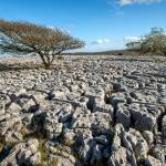 Limestone pavement, Cumbria