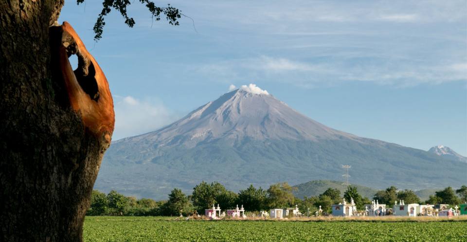 Crops growing in the fertile soils of the Popocatepetl volcano, south of Atlixco, Mexico.