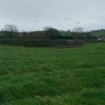 Surface depression remnant from sinkhole adjacent to the A38 at Caton, Devon.