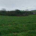 Surface depression remnant from sinkhole adjacent to the A38 at Caton, Devon.