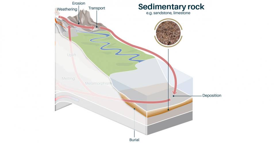 Sedimentary rocks (from Latin sedimentum settling or sedēre to sit, sink down) The processes of weathering, erosion, and transportation gradually break up rocks into sediments. After sediments are deposited, they can become buried underneath layers of ‘fresh’ sediments. Over long periods of time, layers of sediments become compacted, cemented and transformed into sedimentary rocks.