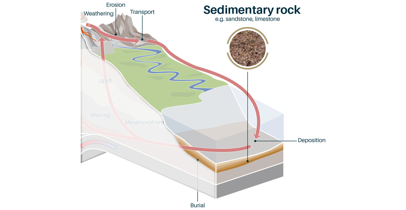 Sedimentary Rocks - Formation, Types, Examples - Geology In