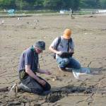 Dave Tappin and Colm Jordan digging holes to analyse tsunami sediments. (Photo: Hannah Evans)