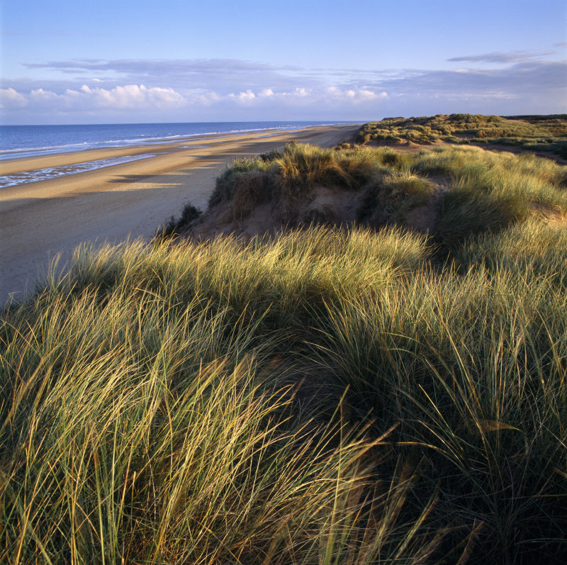 A view across the Marram and Sea-lyme sand dunes at Formby Point towards the shore line where the sea laps gently on the yellow sandy beach. Photograph © National Trust