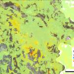 A map showing InSAR average velocities in Hanoi between 2016 and 2019 along the line of sight direction.