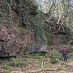 Radyr Quarry