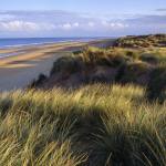 A view across the Marram and Sea-lyme sand dunes at Formby Point towards the shore line where the sea laps gently on the yellow sandy beach. Photograph © National Trust