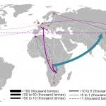 Global flows of cobalt ores