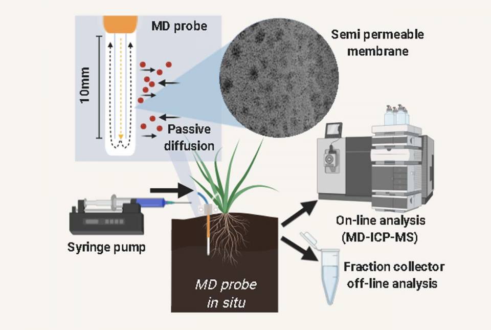 Microdialysis sampling