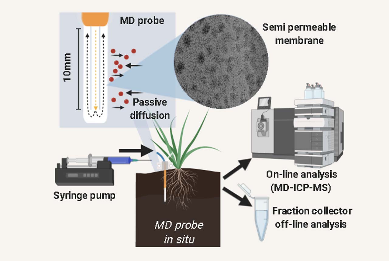 Microdialysis sampling