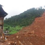 The scarp (source) of the Regent landslide.